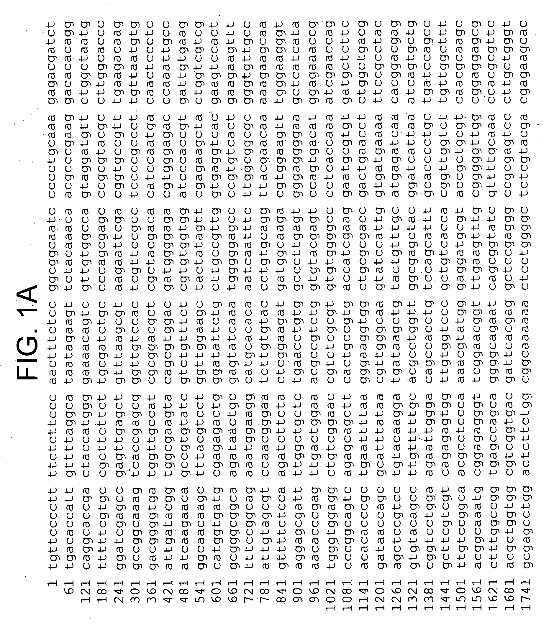 T. cruzi-derived neurotrophic agents and methods of use therefor