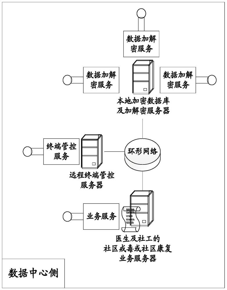 System and method for community detoxification and rehabilitation based on ring network