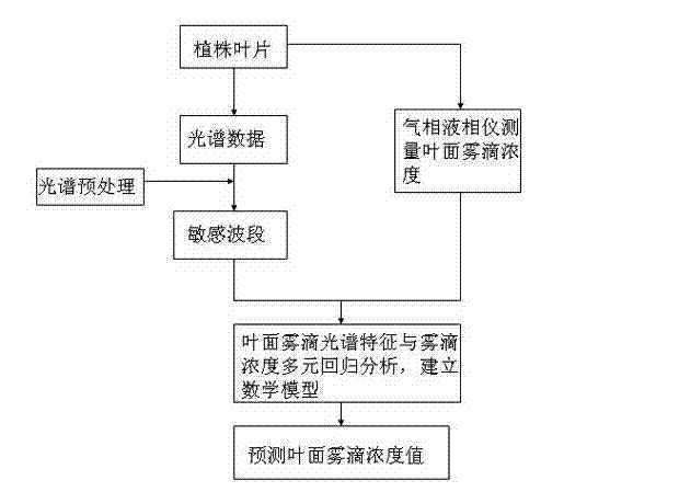 Method for quickly detecting concentration of droplet on crop leaf