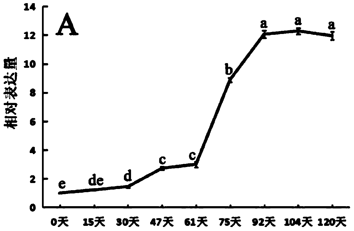 Apple fruit hexose transporter gene MdHT2.2 and application thereof