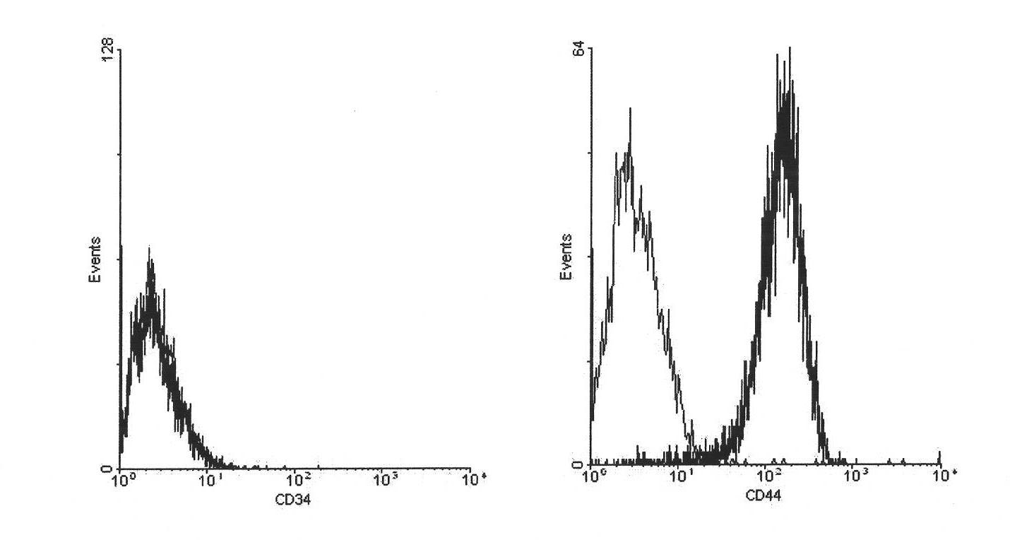 Method for extracting original mesenchymal stem cells from placenta and serum-free amplification