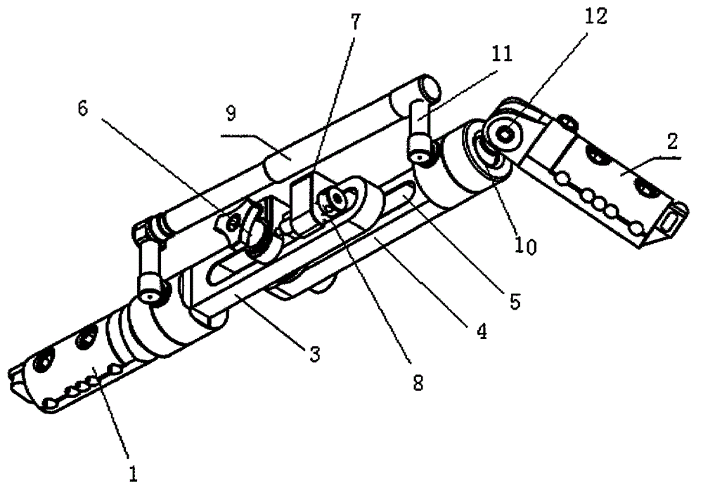 External fixator for knee joint