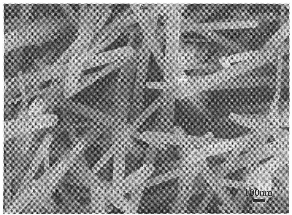 ZnO nanowire biosensor and preparation method thereof