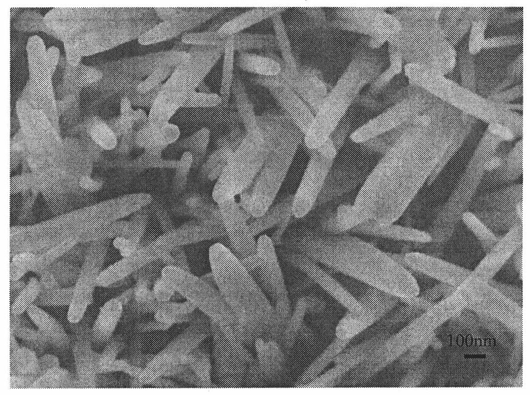 ZnO nanowire biosensor and preparation method thereof