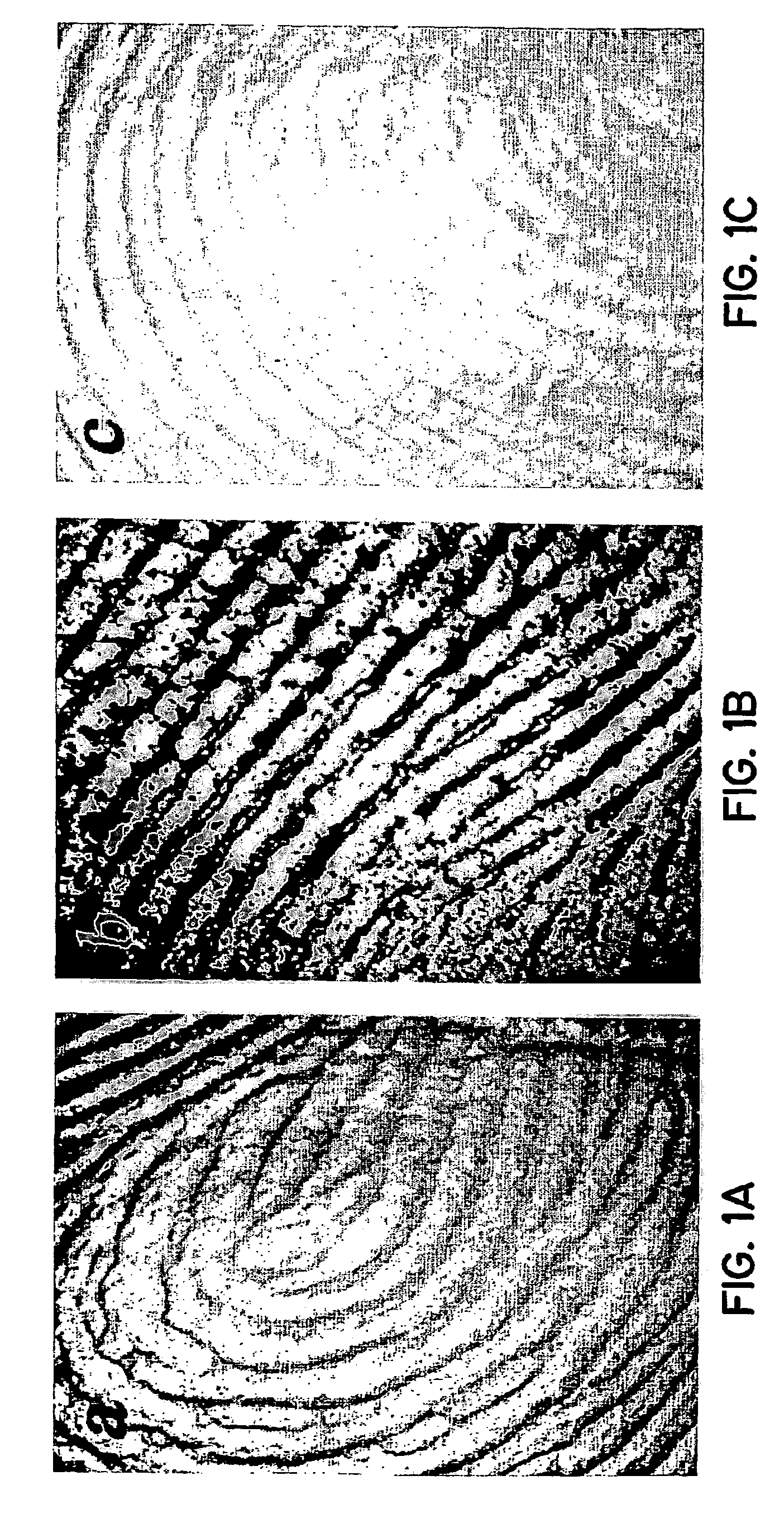 Simulated vernix compositions for skin cleansing and other applications