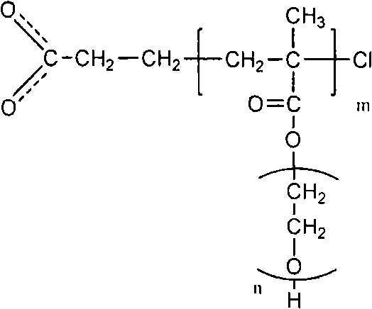 Functional superparamagnetic nano particle with uniform particle size and preparation method thereof