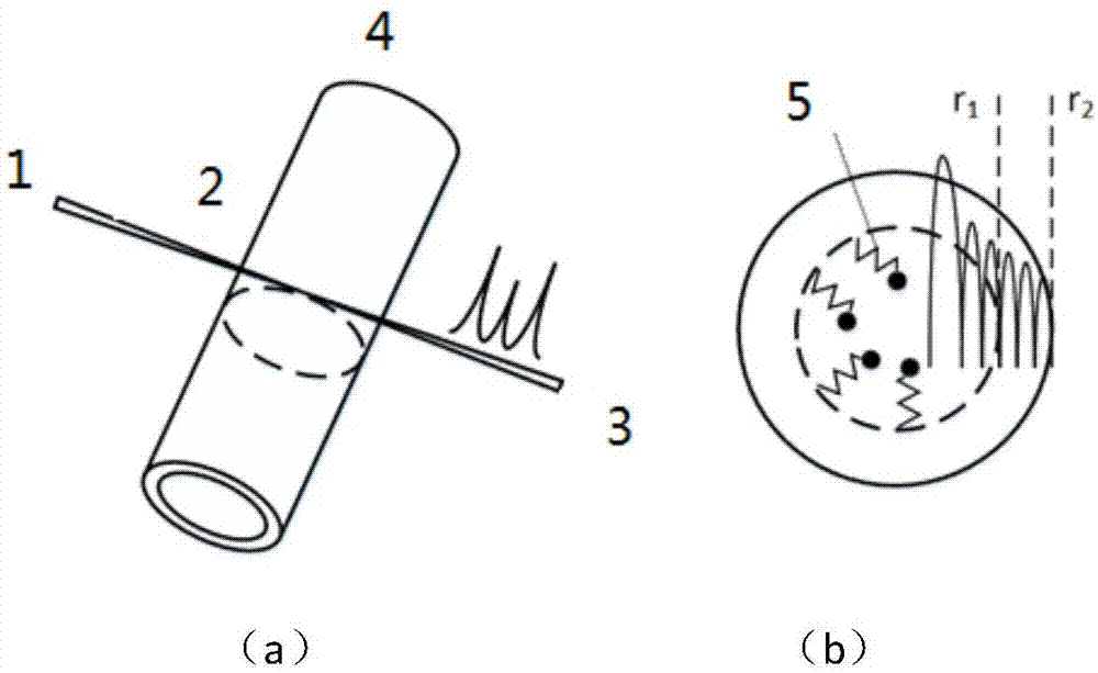 Fano resonance sensing apparatus based on axisymmetric optical micro-cavity, and apparatus thereof