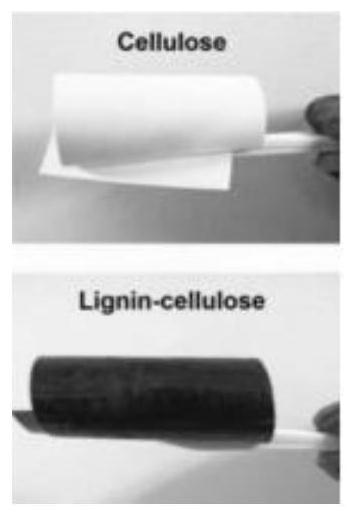 Preparation method and application of biodegradable cellulose paper taking lignin as adhesive