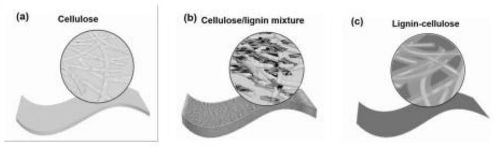 Preparation method and application of biodegradable cellulose paper taking lignin as adhesive