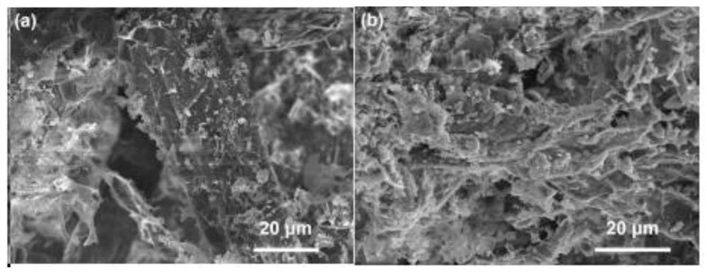 Preparation method and application of biodegradable cellulose paper taking lignin as adhesive