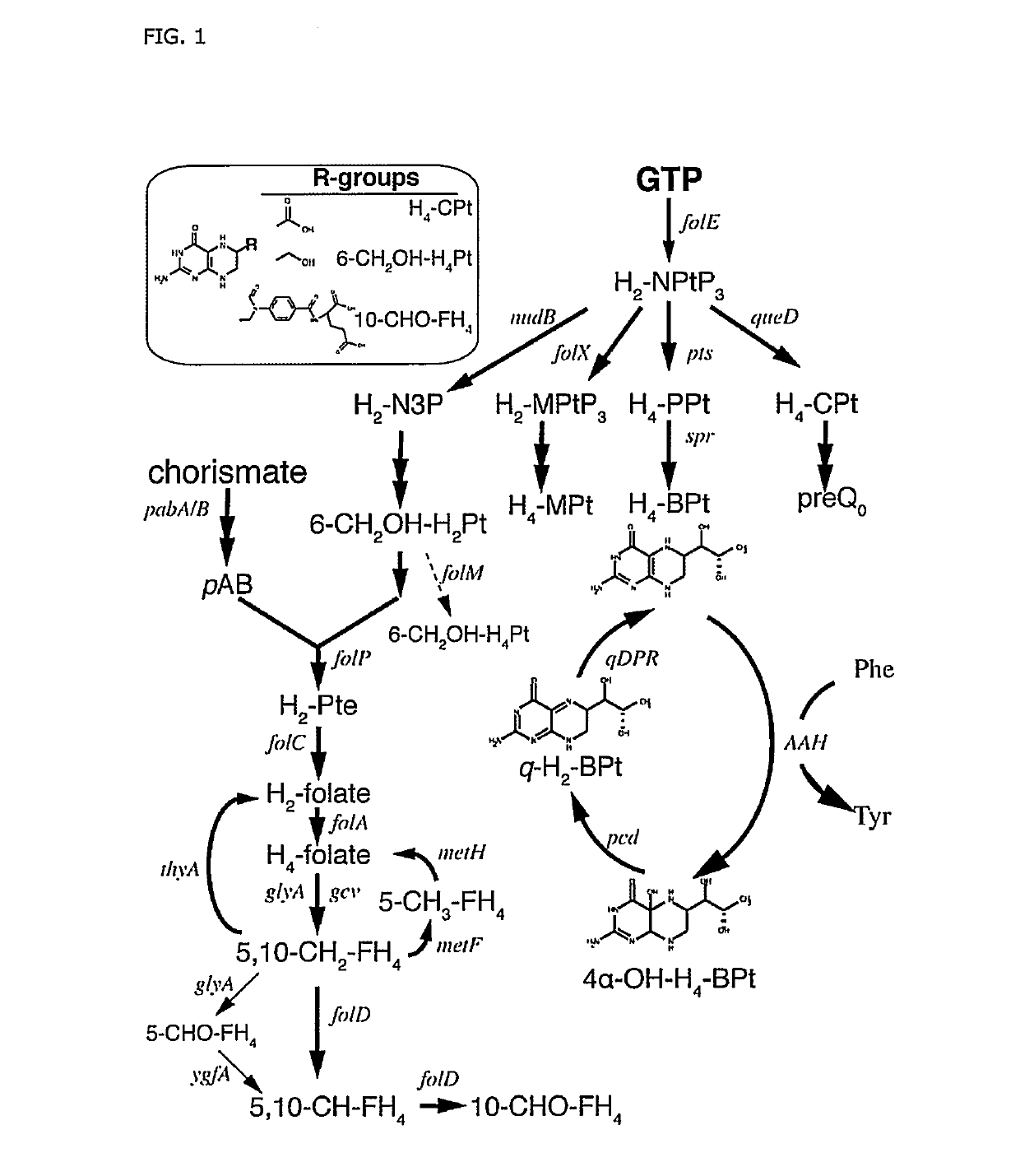 Optimized Microbial Cells for Production of Melatonin and Other Compounds