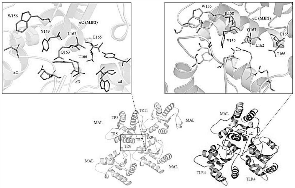 Peptide therapeutics for autoimmune and inflammatory diseases