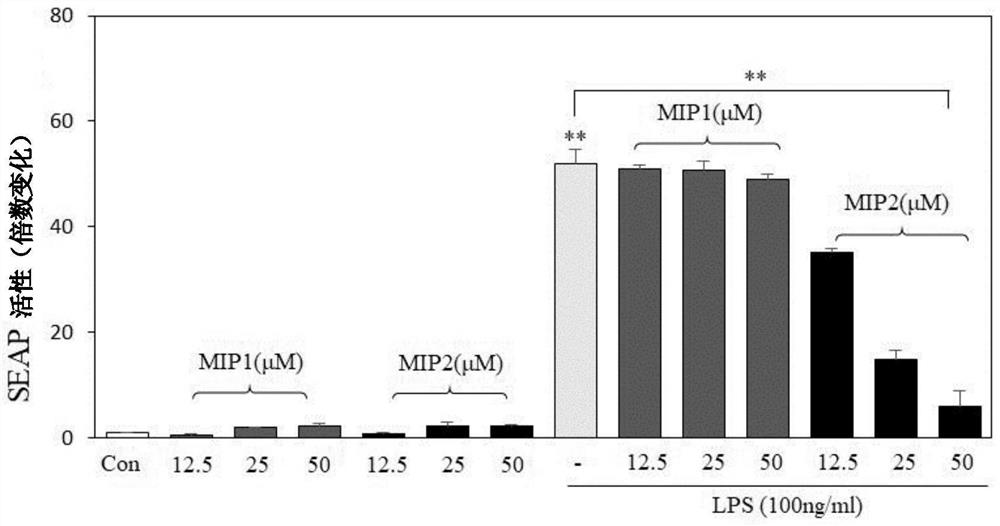 Peptide therapeutics for autoimmune and inflammatory diseases