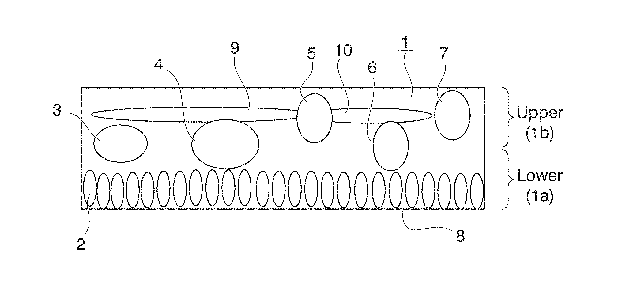 Method of analyzing image of cell in laminated structure and method of evaluating laminated structure for corneal transplantation