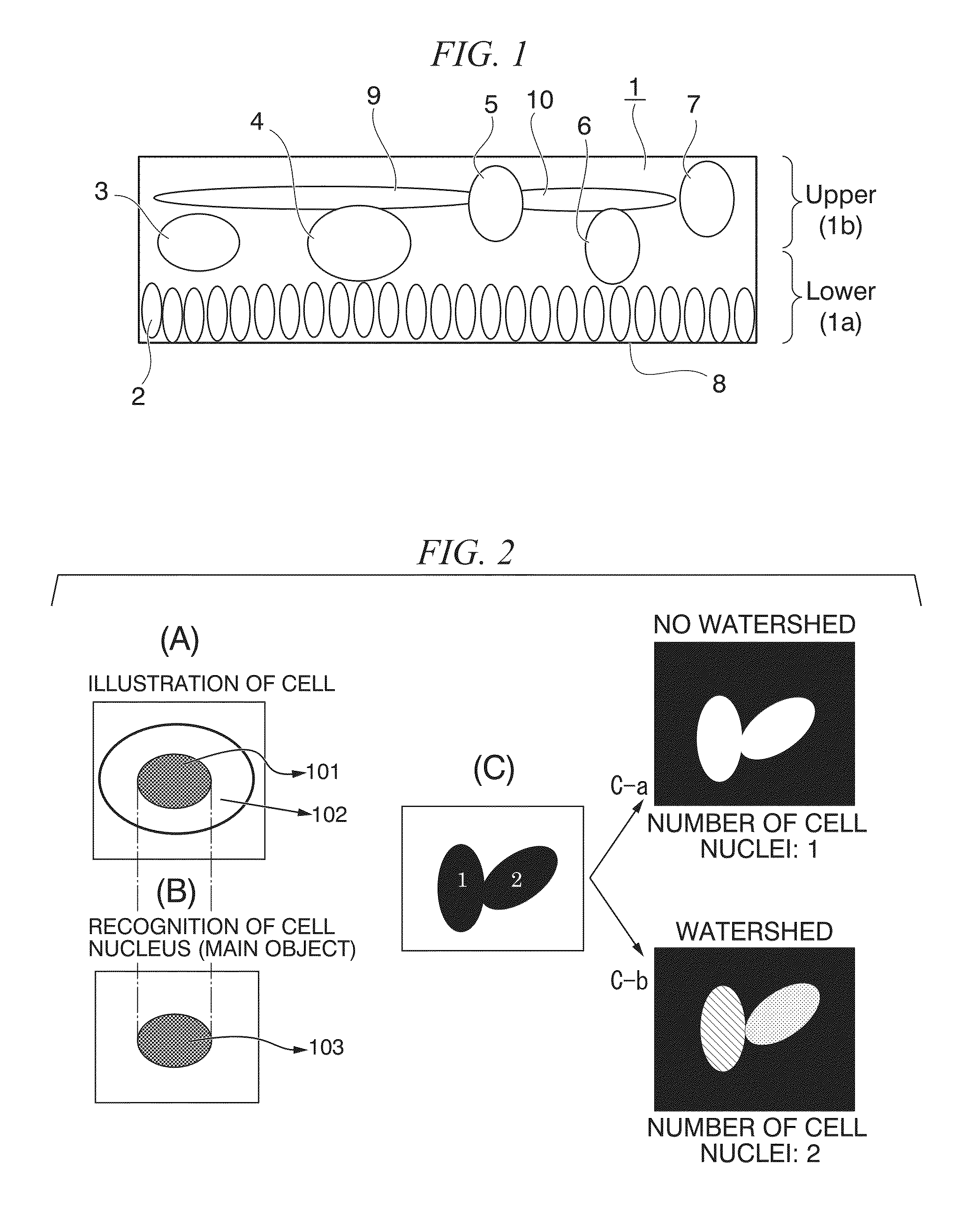 Method of analyzing image of cell in laminated structure and method of evaluating laminated structure for corneal transplantation