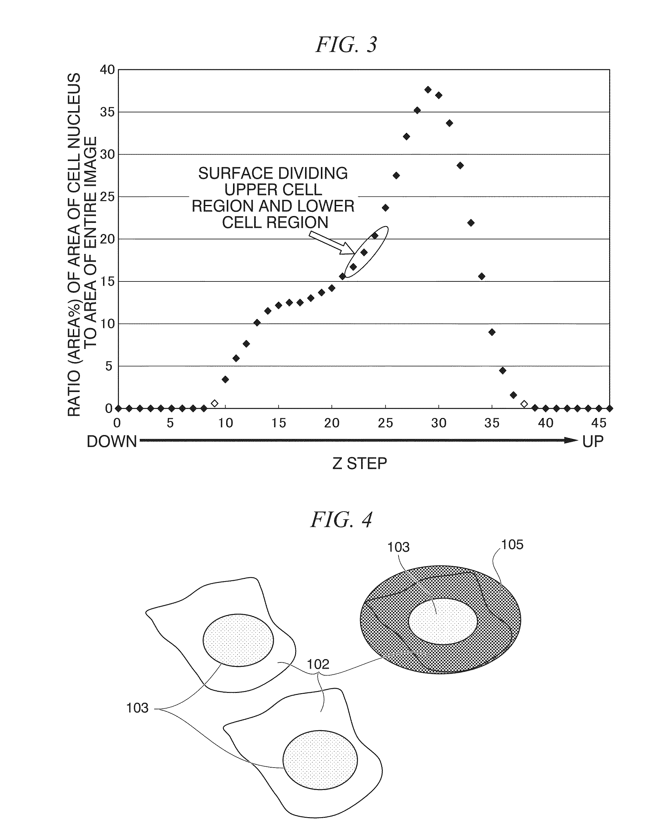 Method of analyzing image of cell in laminated structure and method of evaluating laminated structure for corneal transplantation