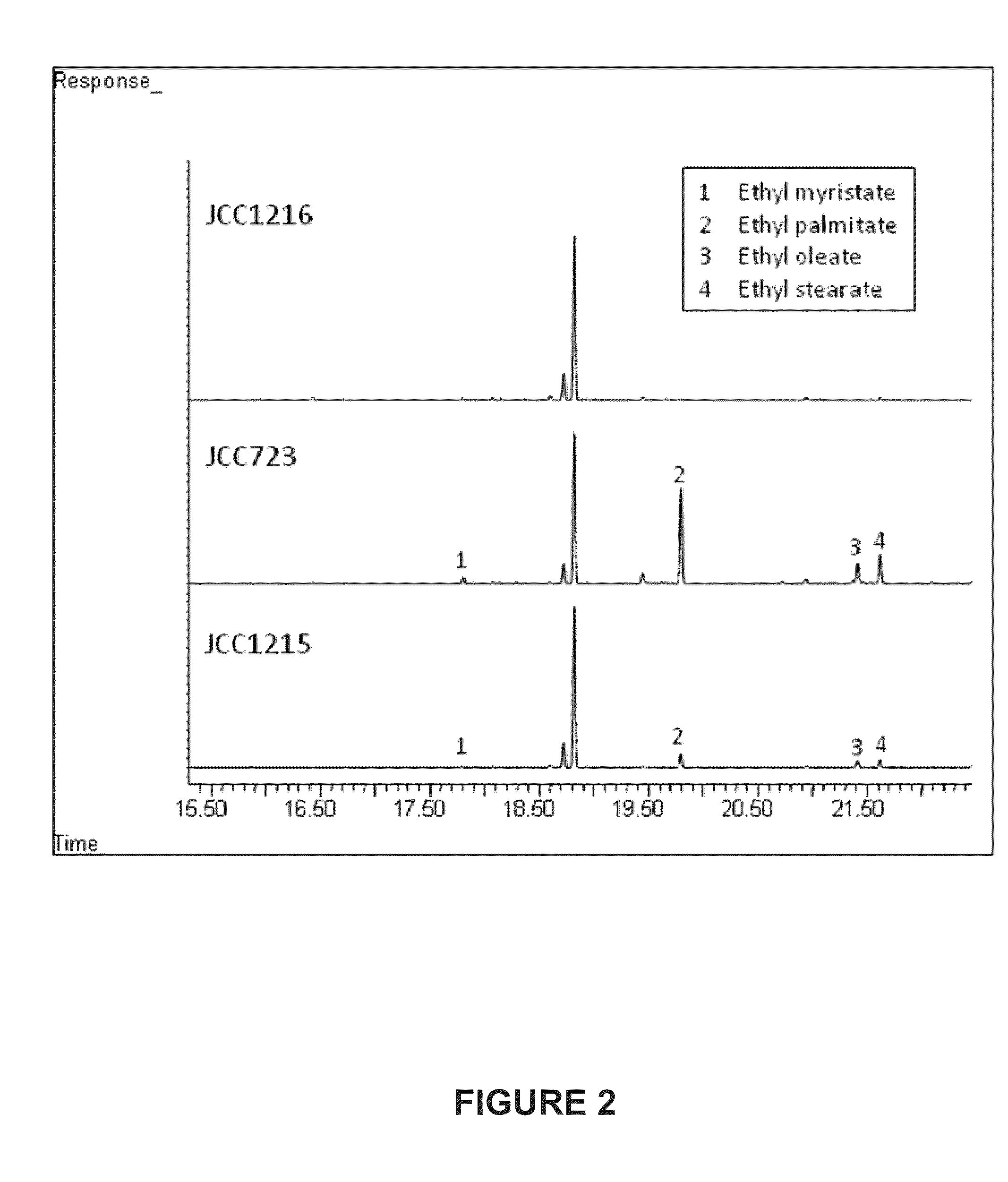 Methods and Compositions for the Recombinant Biosynthesis of Fatty Acids and Esters