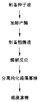 Bacillus and application thereof in industry