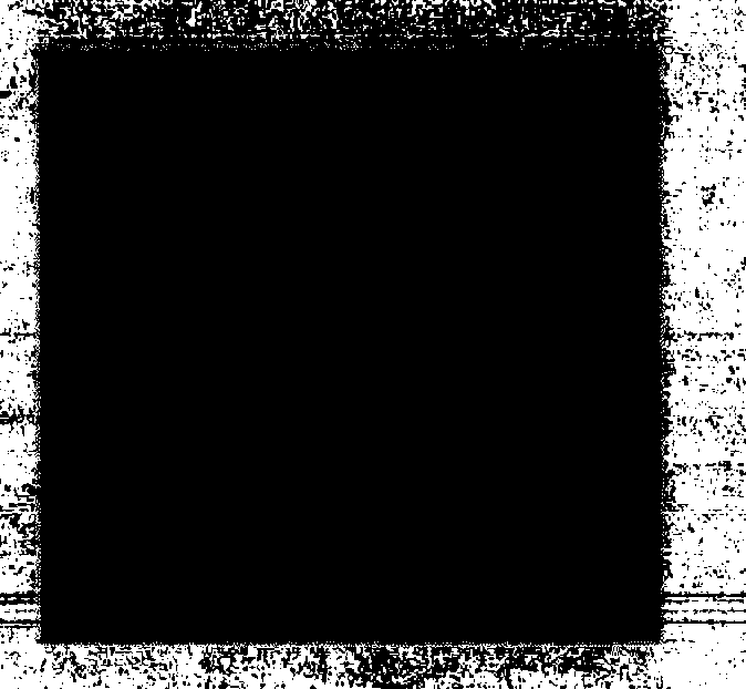 Photosensitive medicament patch and preparation method thereof