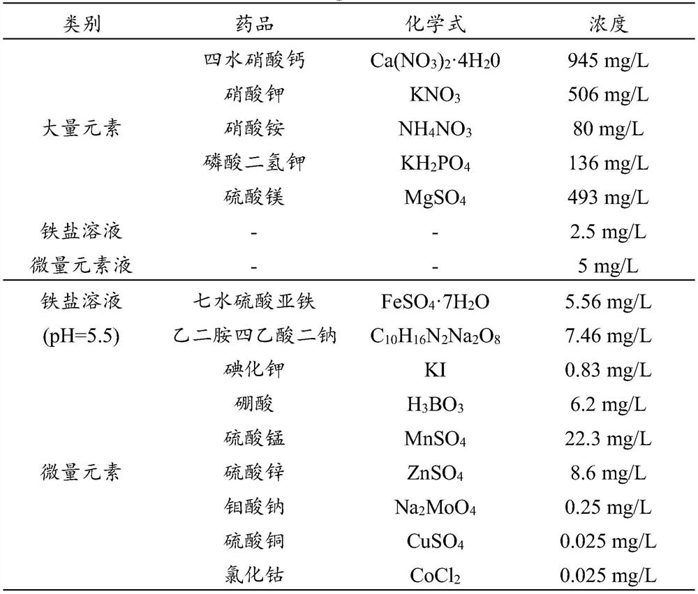 A method for purifying chromium in water by using the interaction between Bacillus cereus and Li Shihe