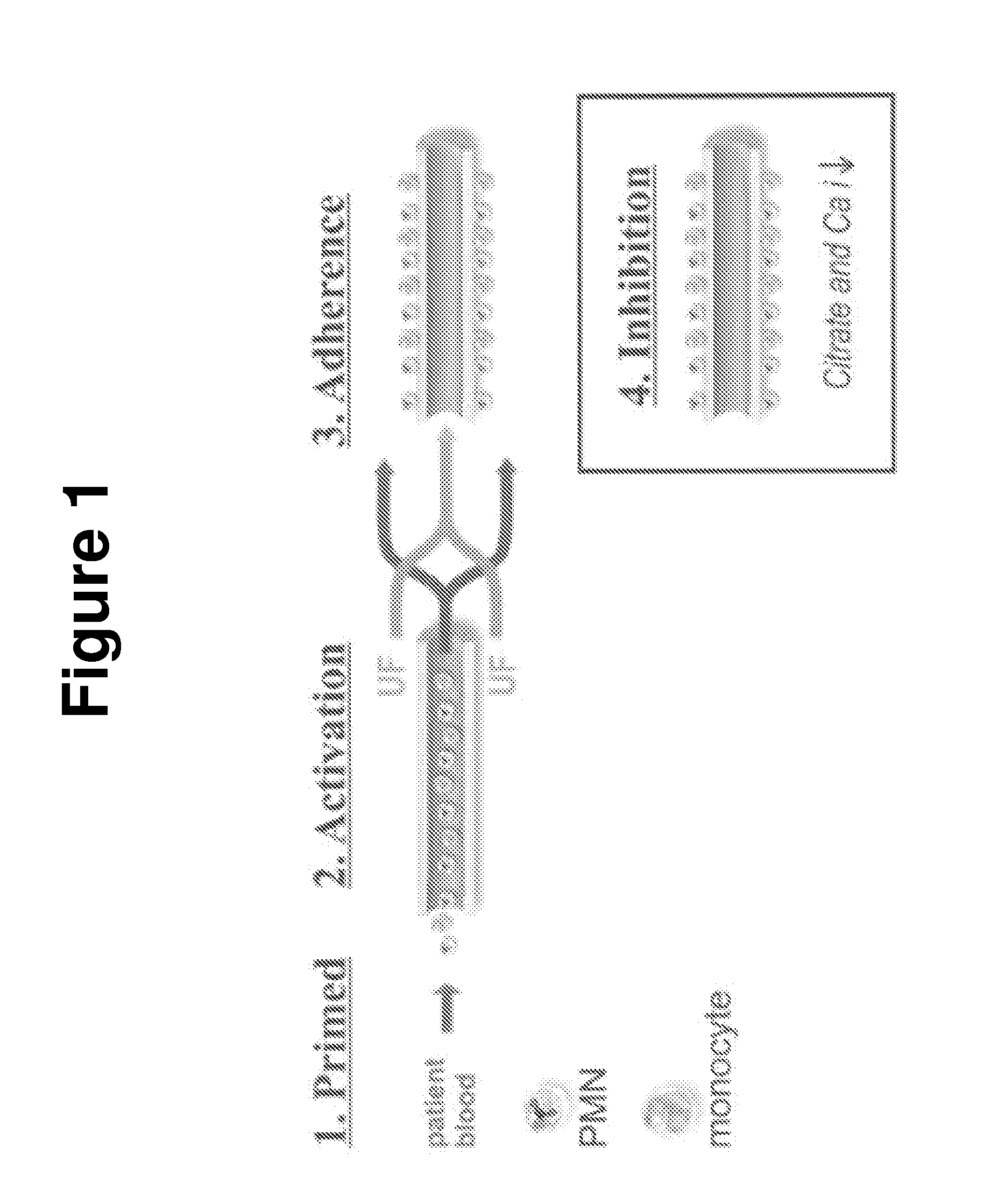 Selective cytopheresis devices and related methods thereof