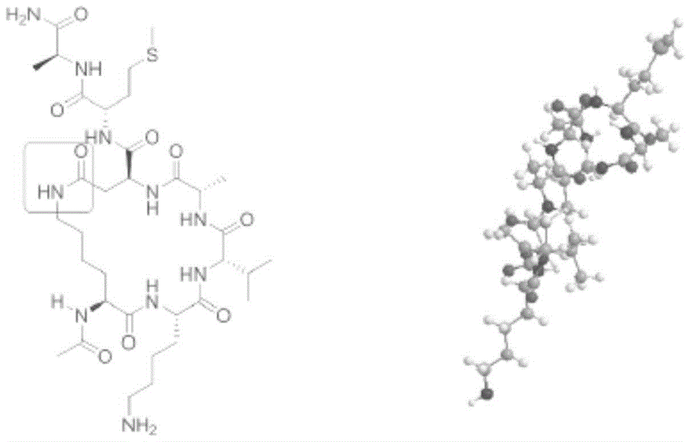 Targeted long-circulation liposome based on mim protein cyclic peptide inhibitor and its preparation method and application