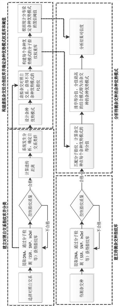 A method for identifying heterosis patterns of crop varieties based on molecular marker technology