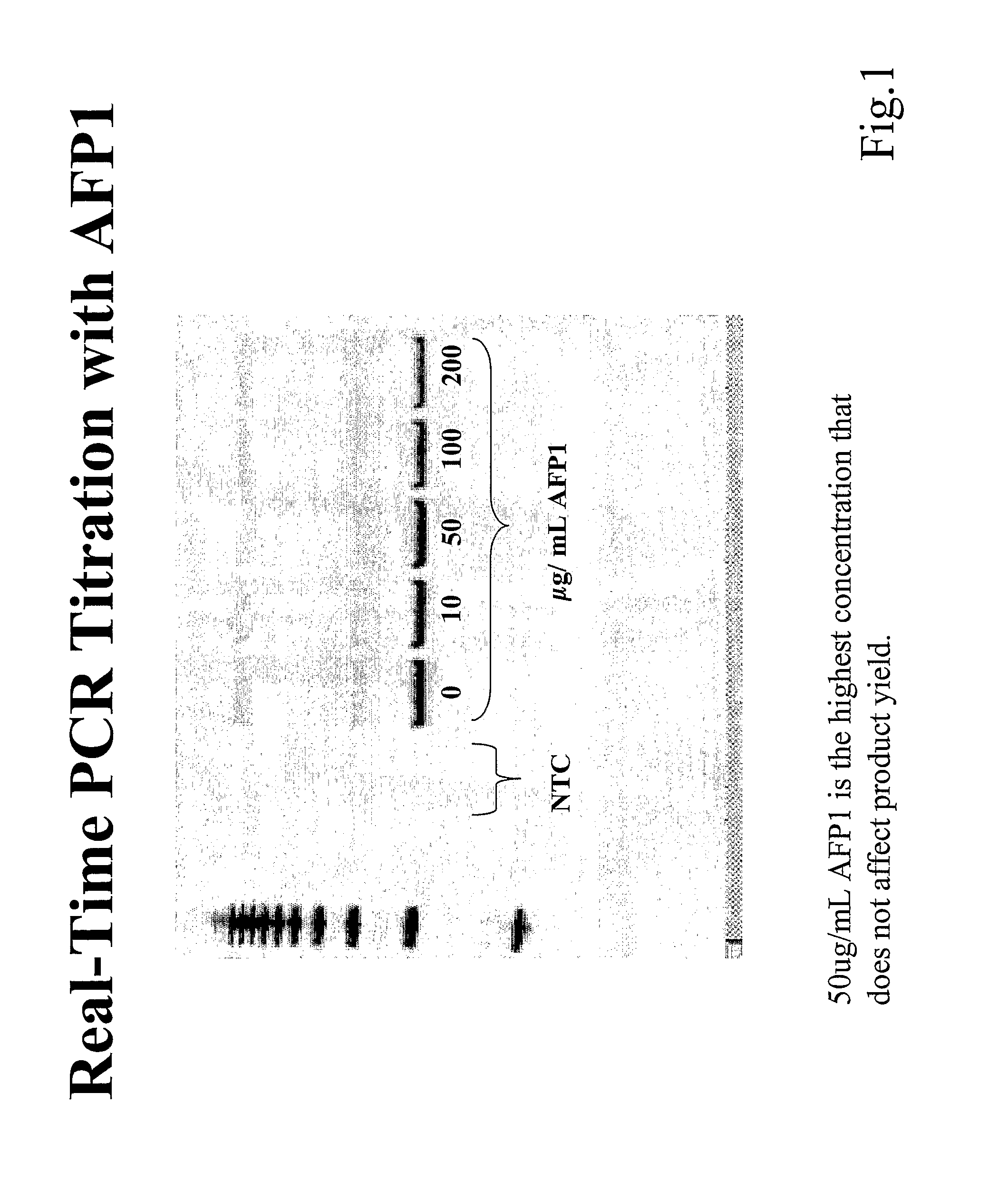 Anti-freeze protein enhanced nucleic acid amplification