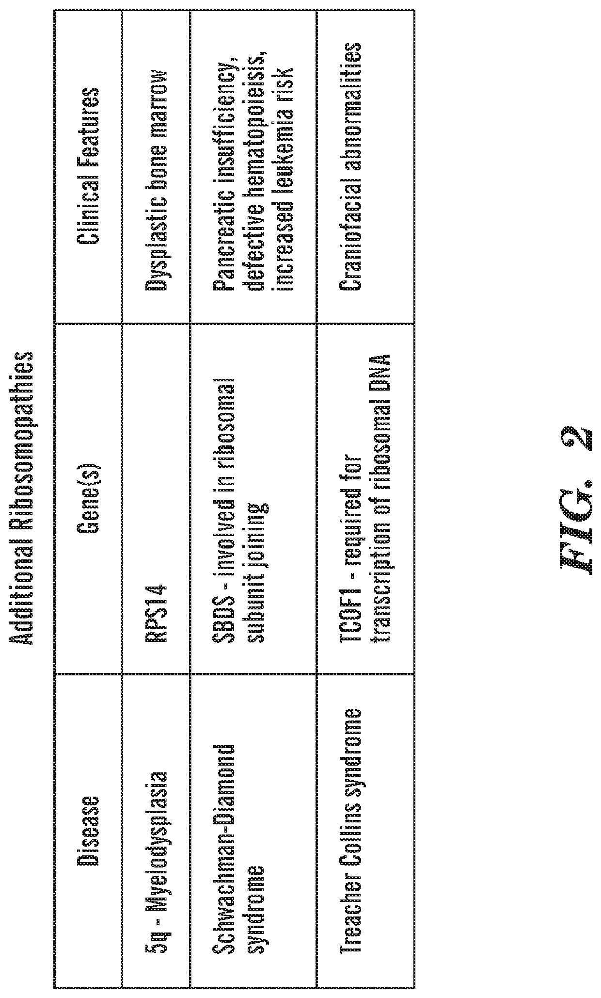 Calmodulin inhibitors, Chk2 inhibitors and RSK inhibitors for the treatment of ribosomal disorders and ribosomapathies