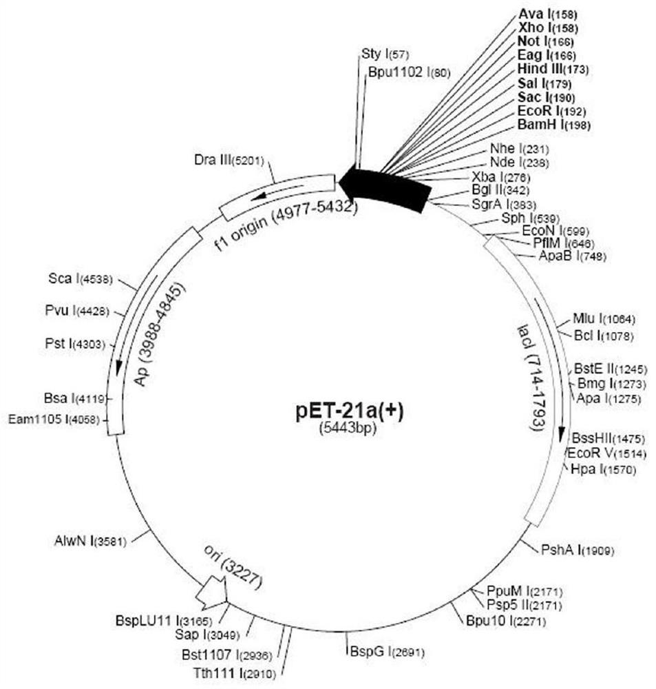 Expression vector, expression system and application of recombinant TEV protease