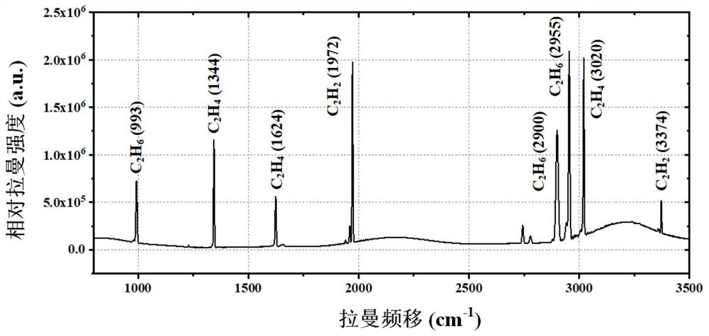 Hollow waveguide cavity for enhancing gas Raman signal