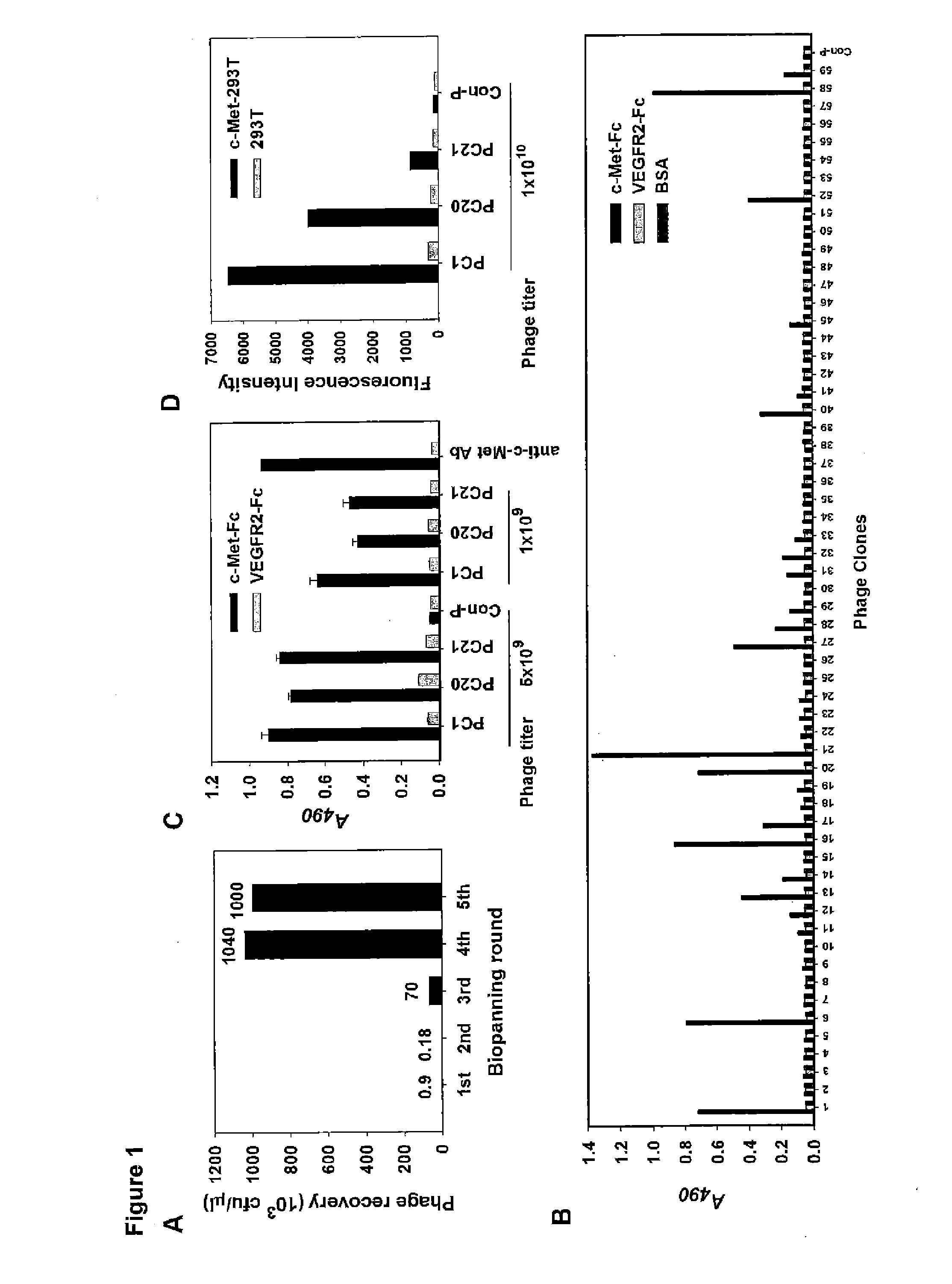 Anti-C-Met Antibody and Methods of Use Thereof