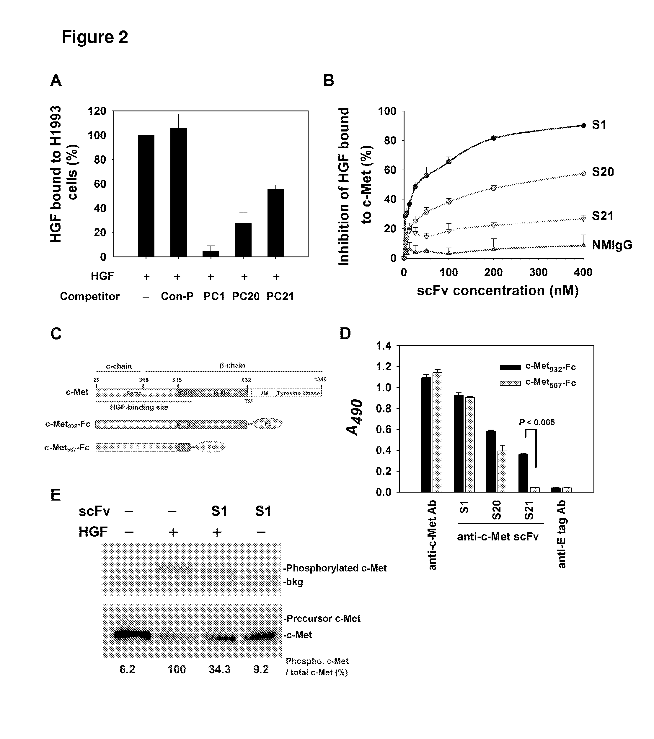 Anti-C-Met Antibody and Methods of Use Thereof