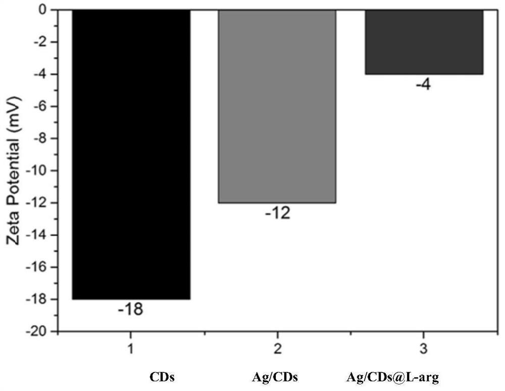 Preparation method of silver doped carbon dot based NO release-type wound dressing, and product and applications of product