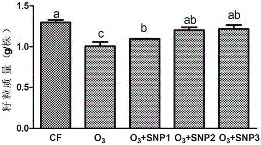Application of sodium nitroferricyanide and/or sodium nitroprusside in slowing down output reduction of agricultural crops