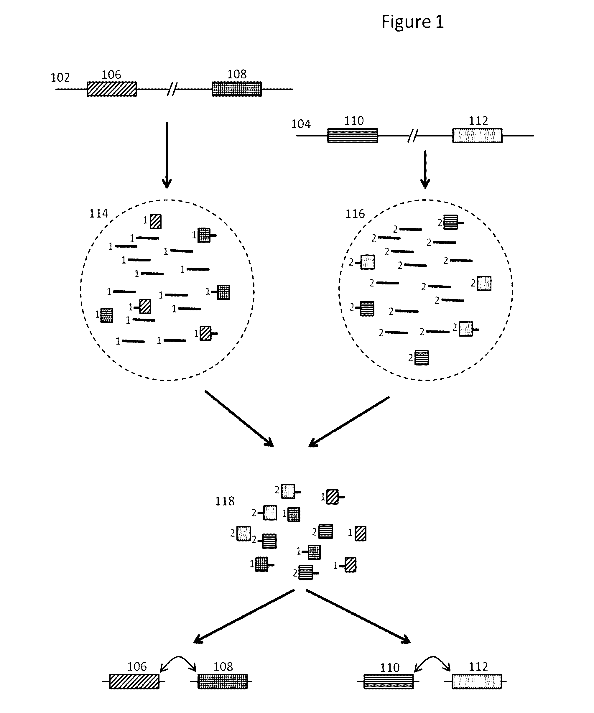 Methods and compositions for targeted nucleic acid sequencing