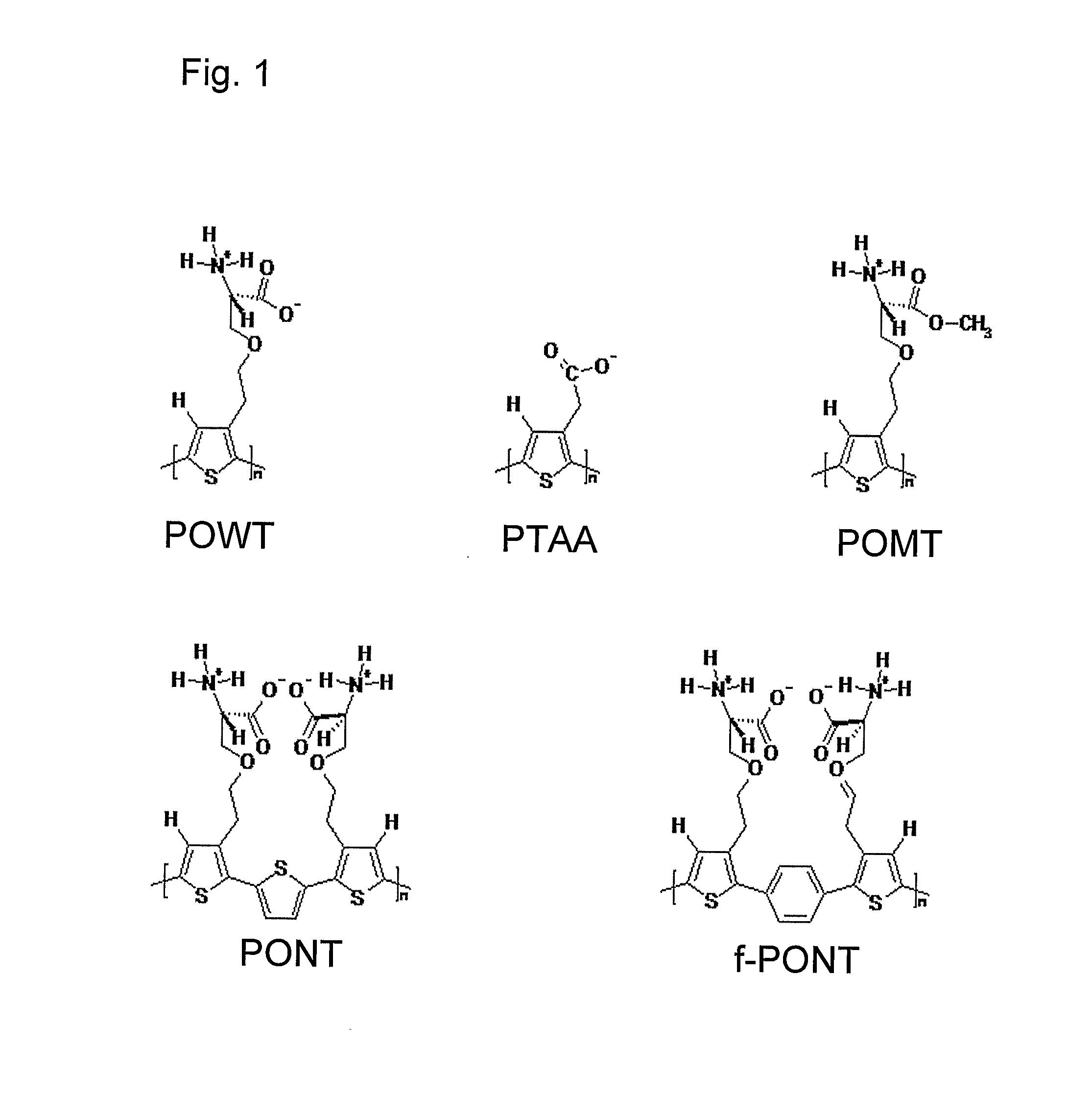 Methods for Determining Conformational Changes and Self-Assembly of Proteins