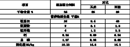 Process for increasing milk yield of dairy cow by wet fermentation protein feed