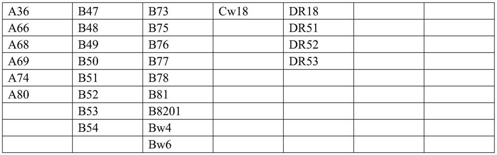 Plate-type immunofluorescence kit for detecting group reactive antibodies and preparation method of plate-type immunofluorescence kit