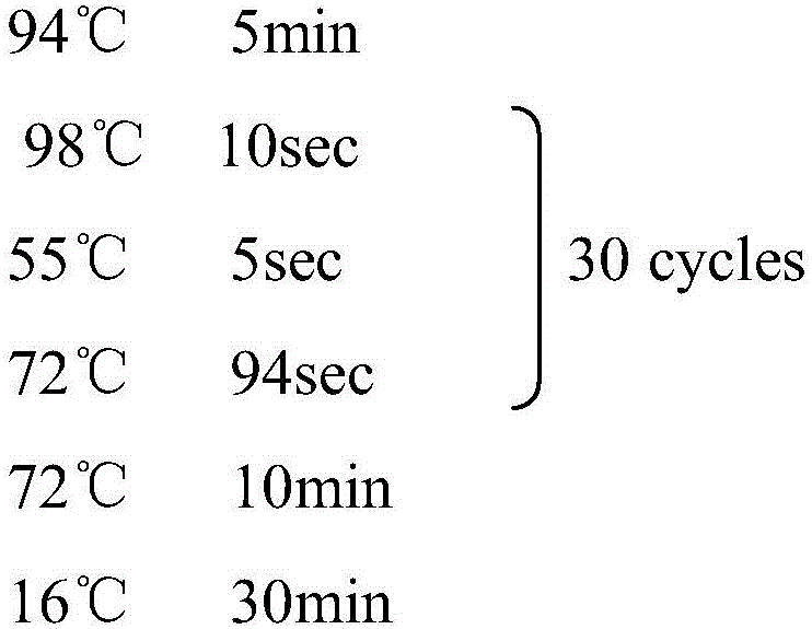 Indirect ELISA kit for detecting canine parainfluenza virus antibody