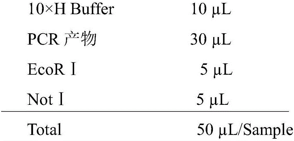 Indirect ELISA kit for detecting canine parainfluenza virus antibody