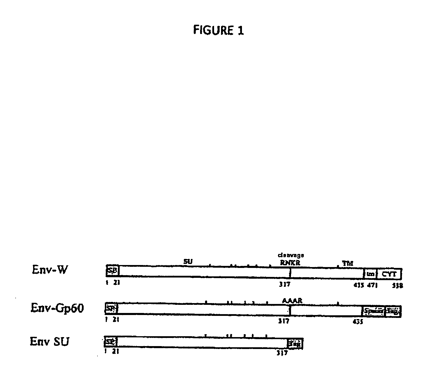 Pharmaceutical composition containing antibodies directed against the herv-w envelope