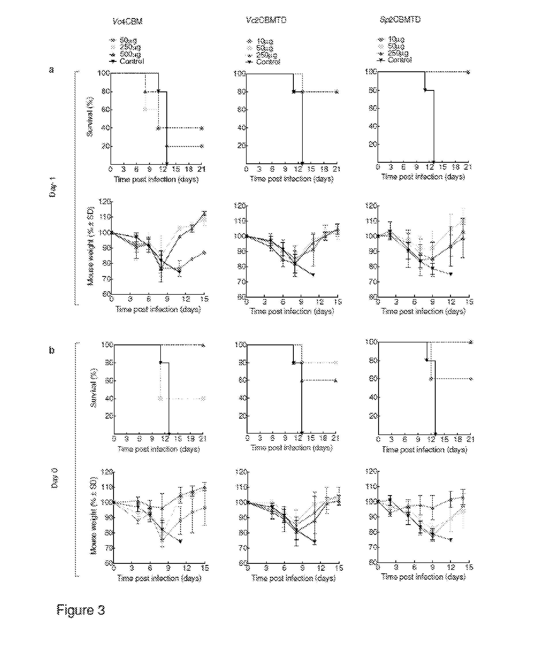 Immunomodulatory compounds