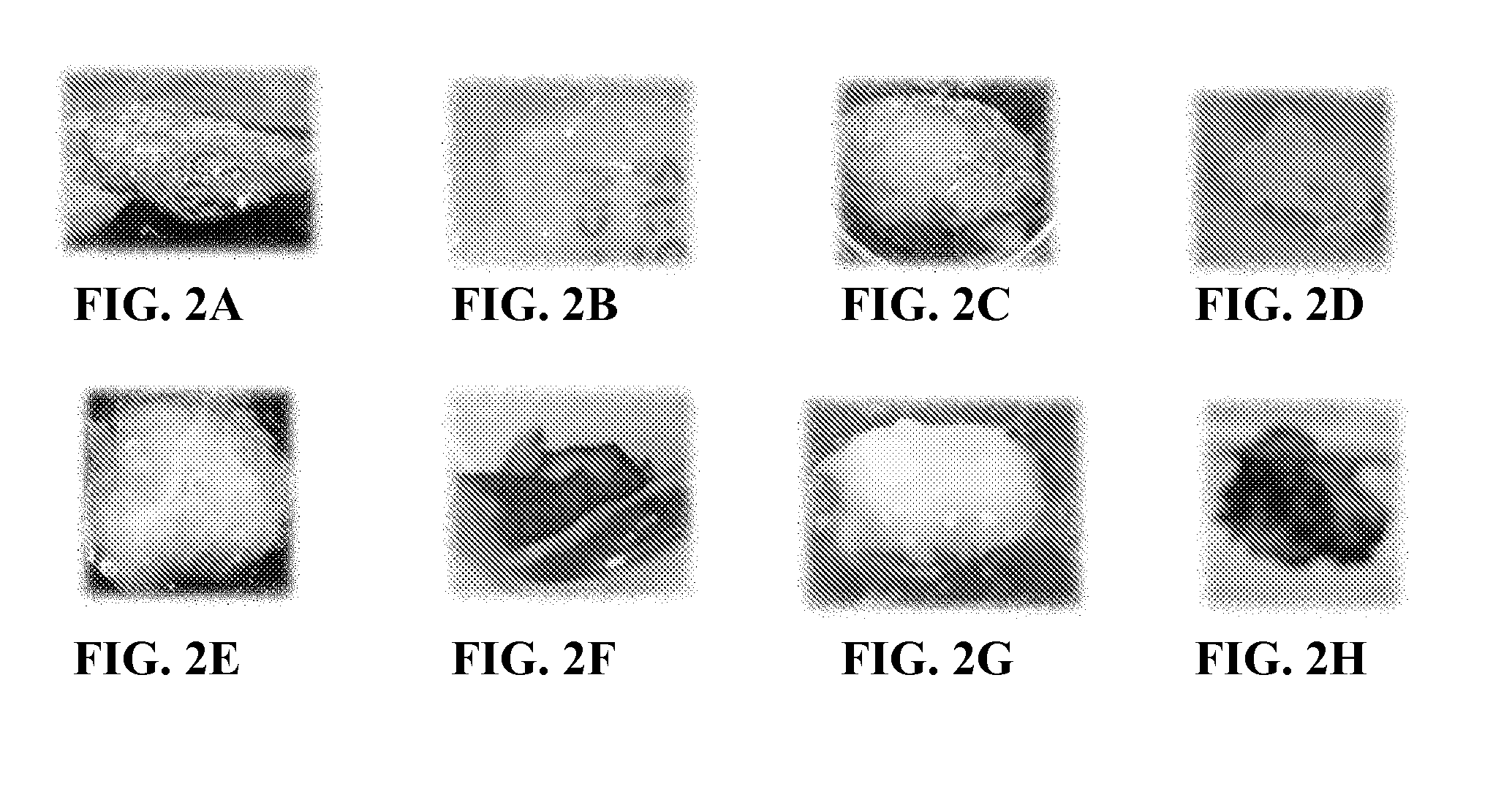 Polymeric materials including a glycosaminoglycan networked with a polyolefin-containing polymer