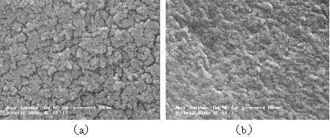 Treatment method of porous carbon carrier for noble metal catalysts