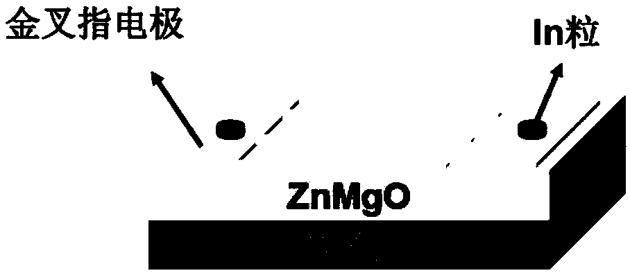 ZnMgO ultraviolet detector