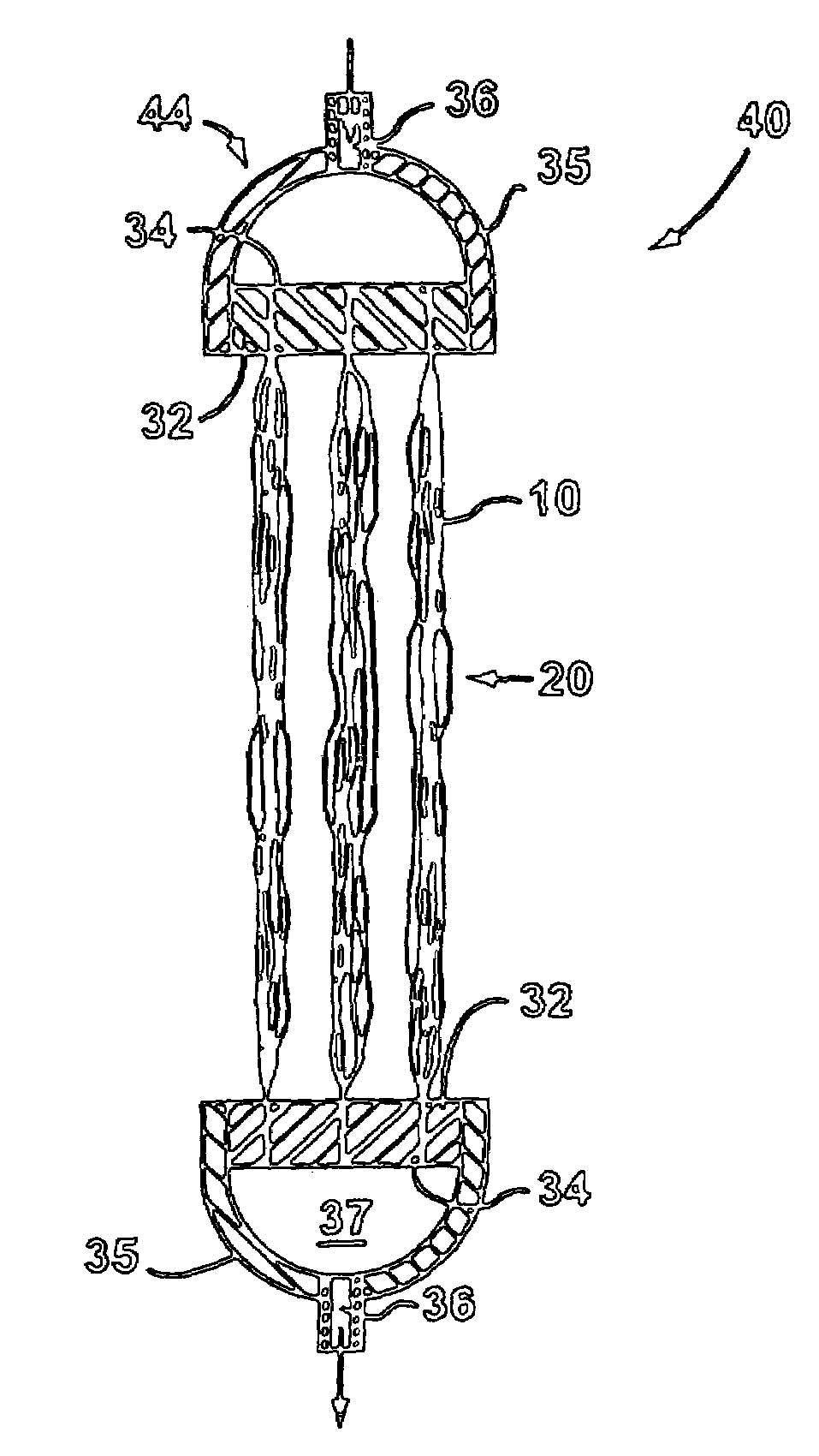 Supported biofilm apparatus