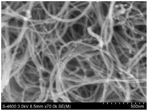 Preparation method of collagen-coated carbon nanotube composite material