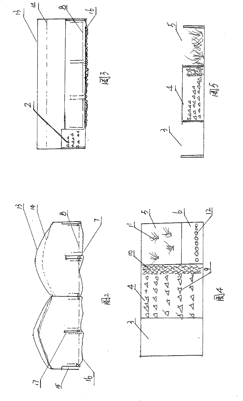 Device for industrially producing Procambarus clarki with roe and production process