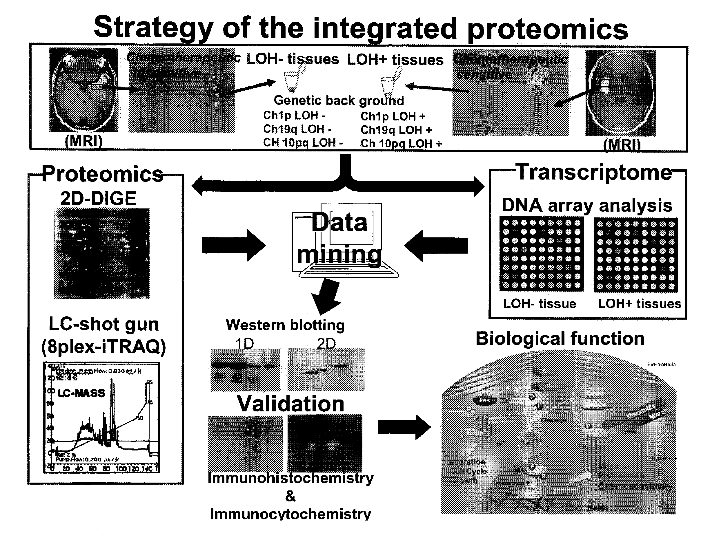 Method for generating data set for integrated proteomics, integrated proteomics method using data set for integrated proteomics that is generated by the generation method, and method for identifying causative substance using same